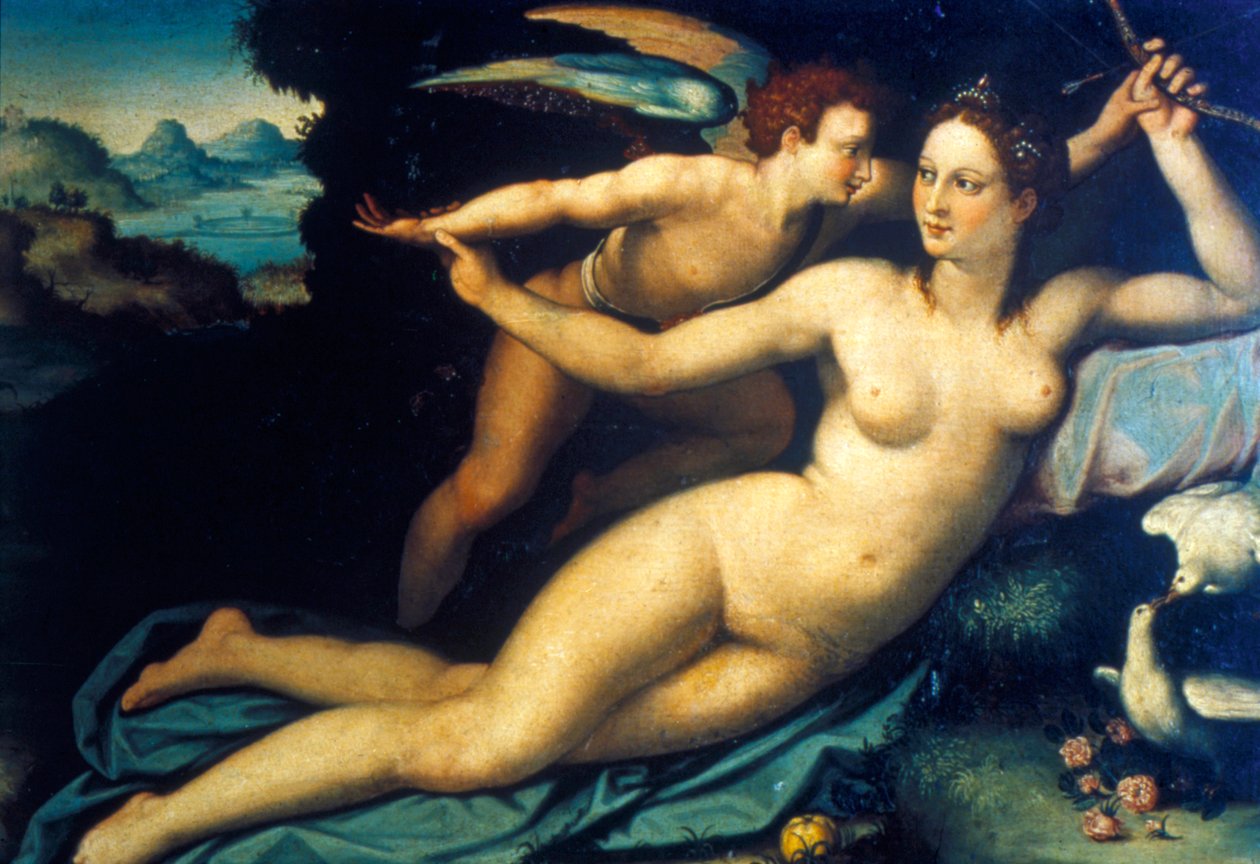 Venüs ve Aşk Tanrısı, 16. yüzyılın ortaları by Agnolo Bronzino