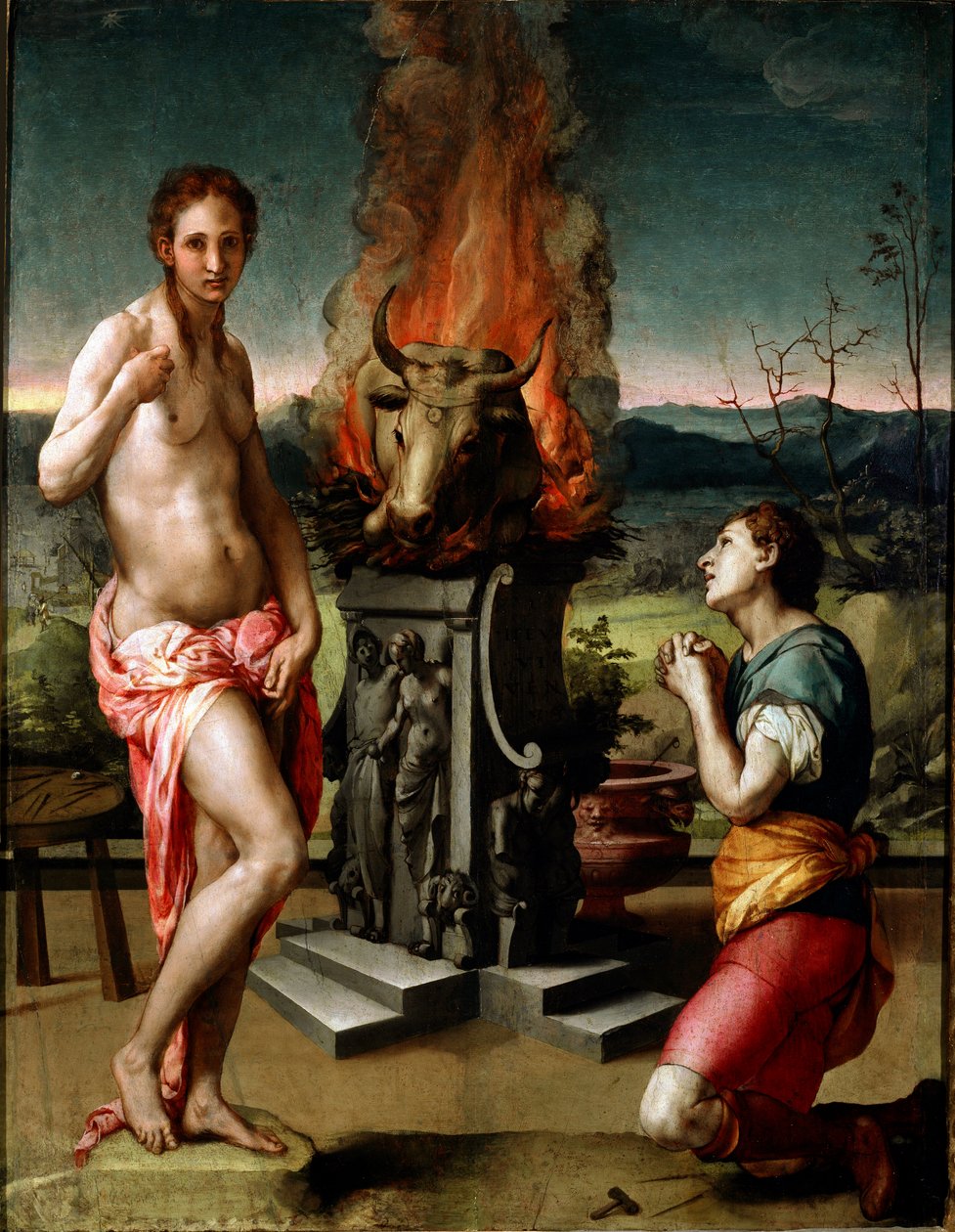 Pygmalion ve Galatee (veya Galathee) Tablo Agnolo di Cosimo di Mariano dit Il Bronzino (1502-1572) 1529-1530 Güneş 81x63 cm Floransa, Uffizi Galerisi (Musee des Uffizi) by Agnolo Bronzino