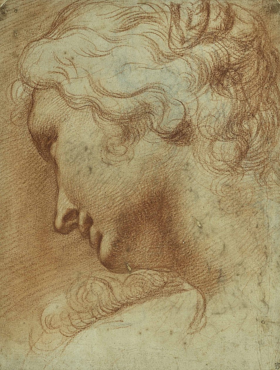 Sağ omzunun üzerinden aşağıya bakan genç bir kadının başı (kağıt üzerinde kırmızı tebeşir) by Agostino Carracci