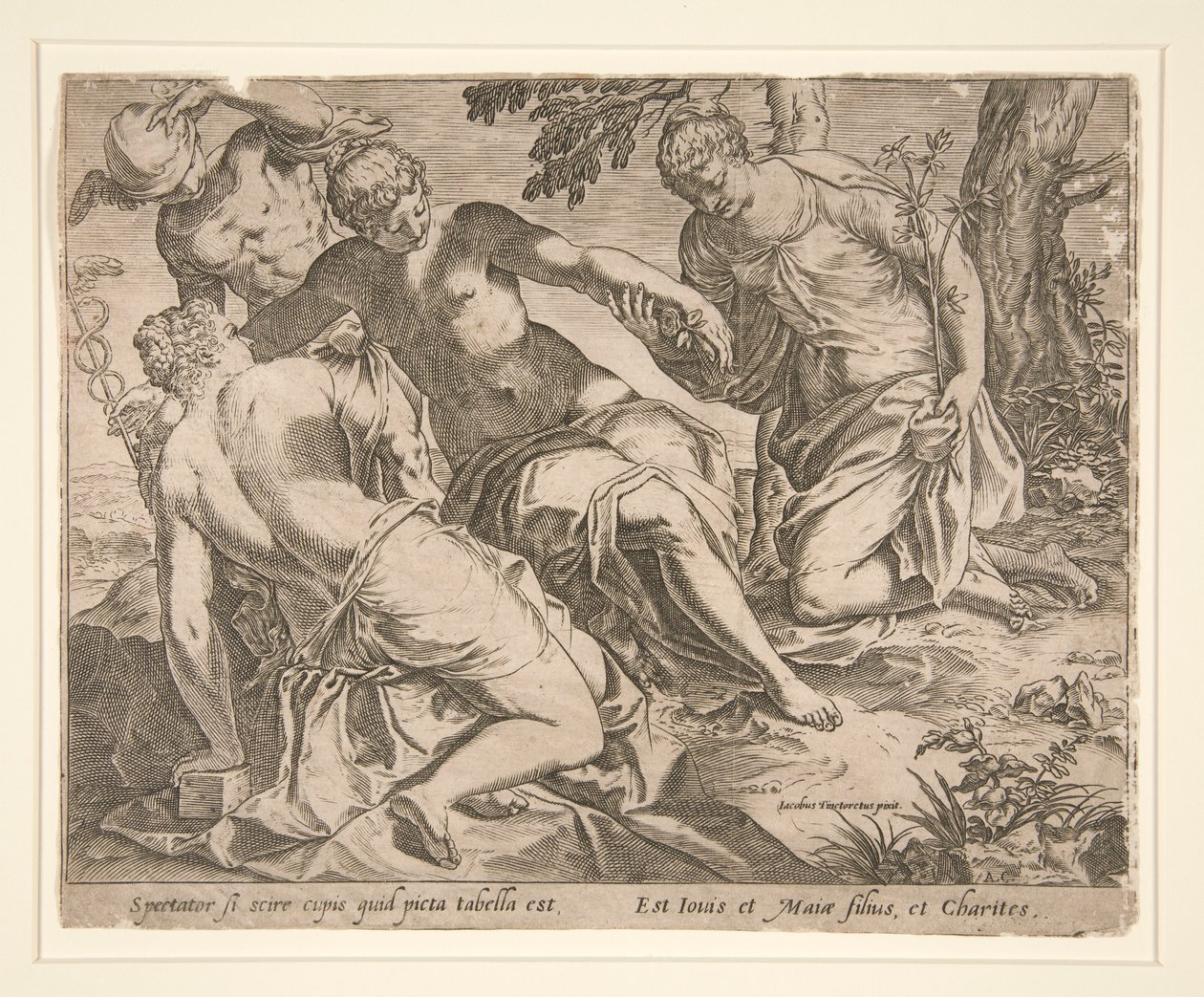 Merkür ve Üç Güzeller by Agostino Carracci