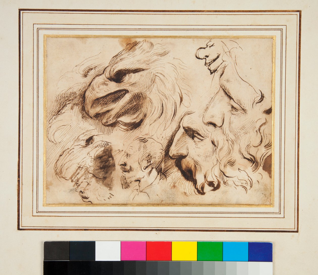 Bir Kartal Başkanı ve Erkek Profilleri ve Karikatürleri ile Çalışma Sayfası (kalem ve kahverengi mürekkep ve biraz kahverengi yıkama) by Agostino Carracci