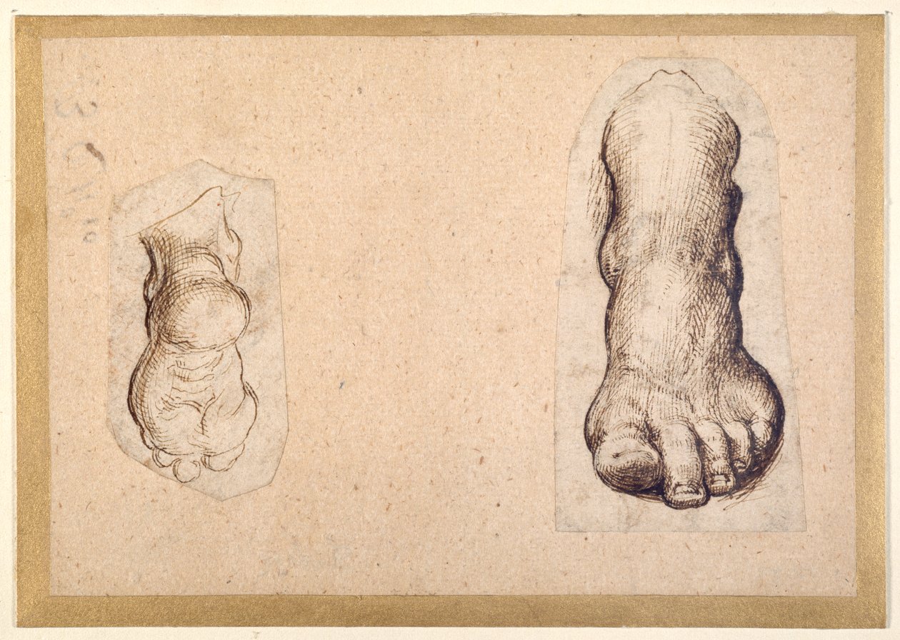 Kısaltmada bir ayağın iki çalışması (kağıt üzerinde kalem ve mürekkep) by Agostino Carracci