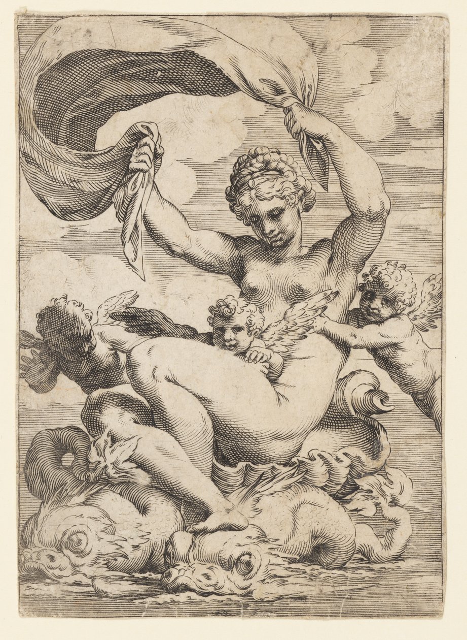 Yunuslar Tarafından Desteklenen Venüs (veya Galatea) ve Aşk Tanrıları by Agostino Carracci