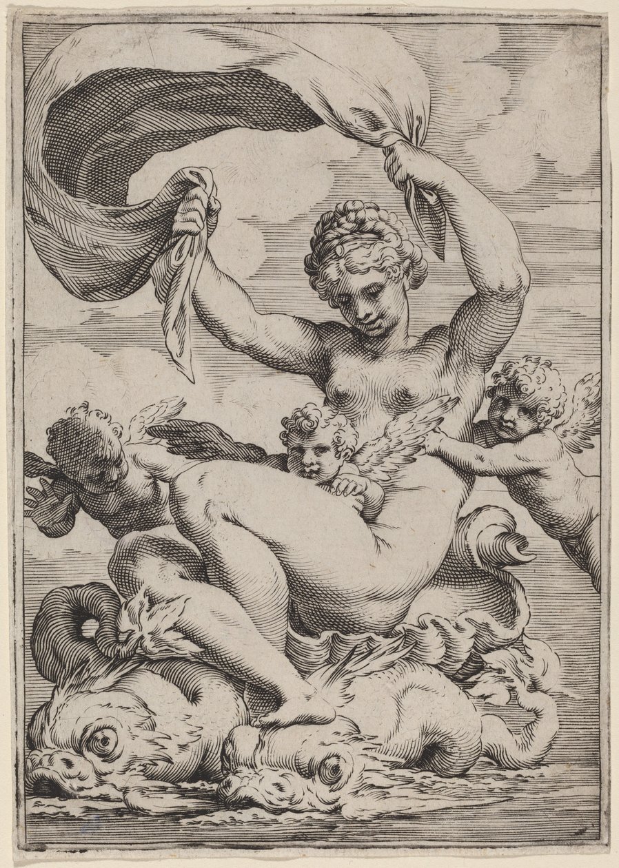 Yunuslar Tarafından Desteklenen Venüs veya Galatea by Agostino Carracci
