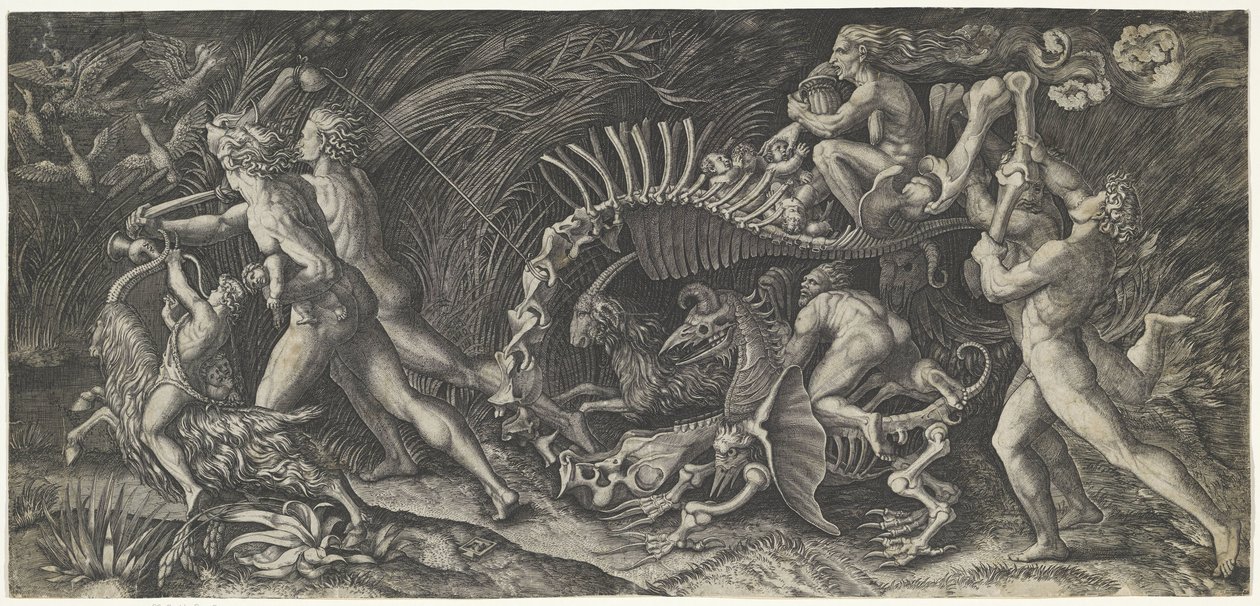 Het karkas The stregozzo by Agostino Veneziano