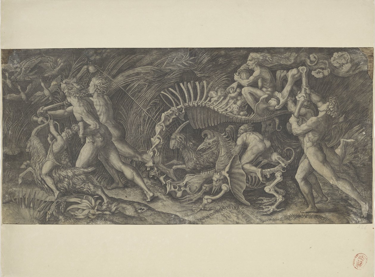 Het karkas The stregozzo by Agostino Veneziano