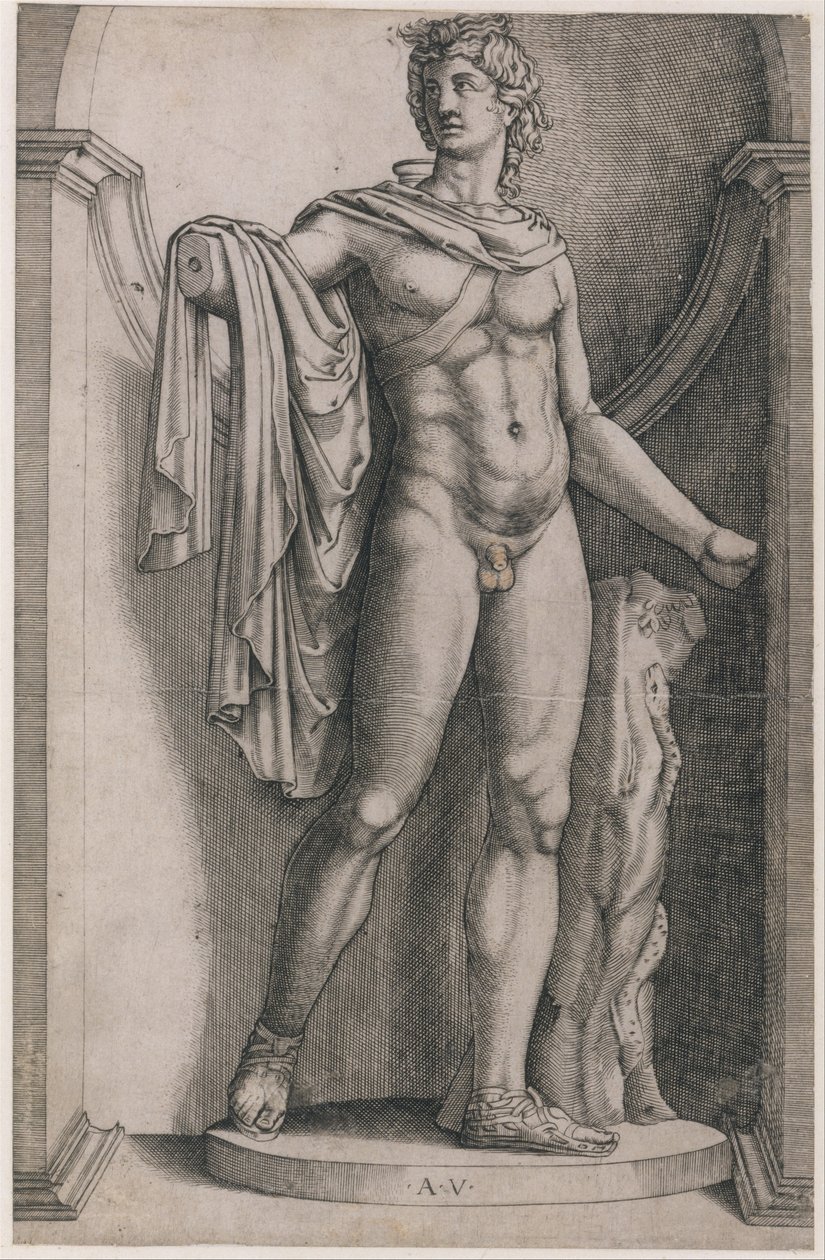 Roma ihtişamının aynası: Apollo Belvedere, yaklaşık. 1514-36, yaklaşık 1514-36. by Agostino Veneziano