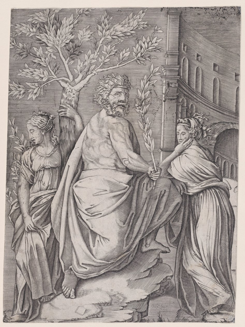 Defne Dalı Olan Adam, ca. 1514-36. by Agostino Veneziano