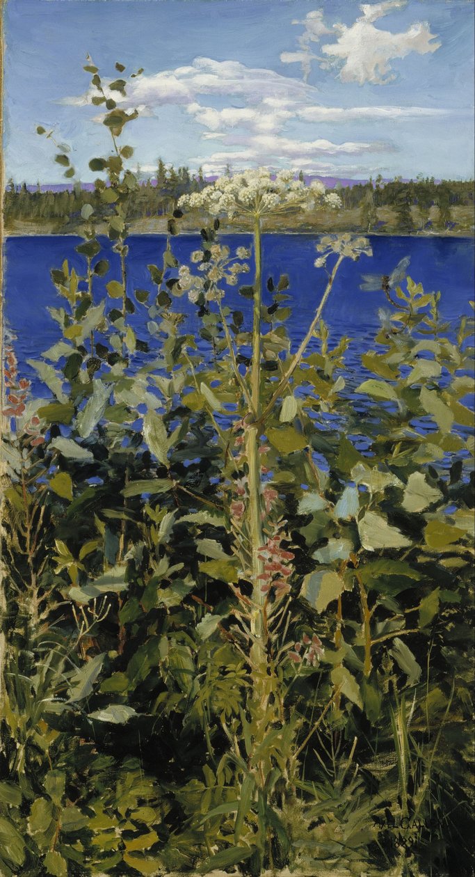 vahşi melekotu by Akseli Gallen Kallela