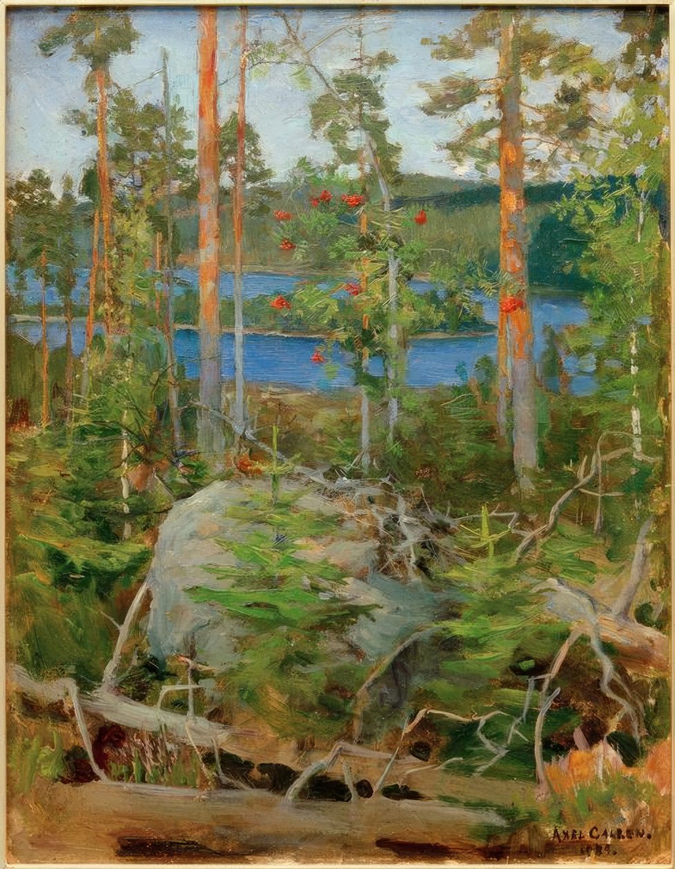 Jamajärvi gölü manzarası by Akseli Valdemar Gallen Kallela