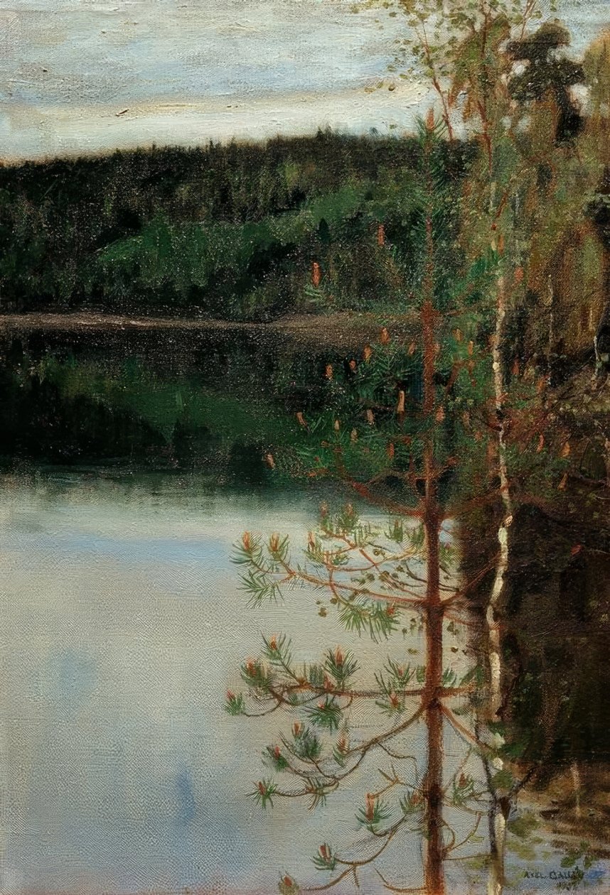 Bir göl manzarası by Akseli Valdemar Gallen Kallela