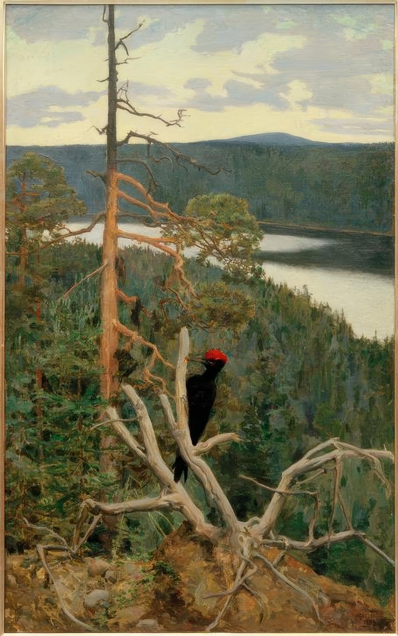 Büyük siyah ağaçkakan by Akseli Valdemar Gallen Kallela