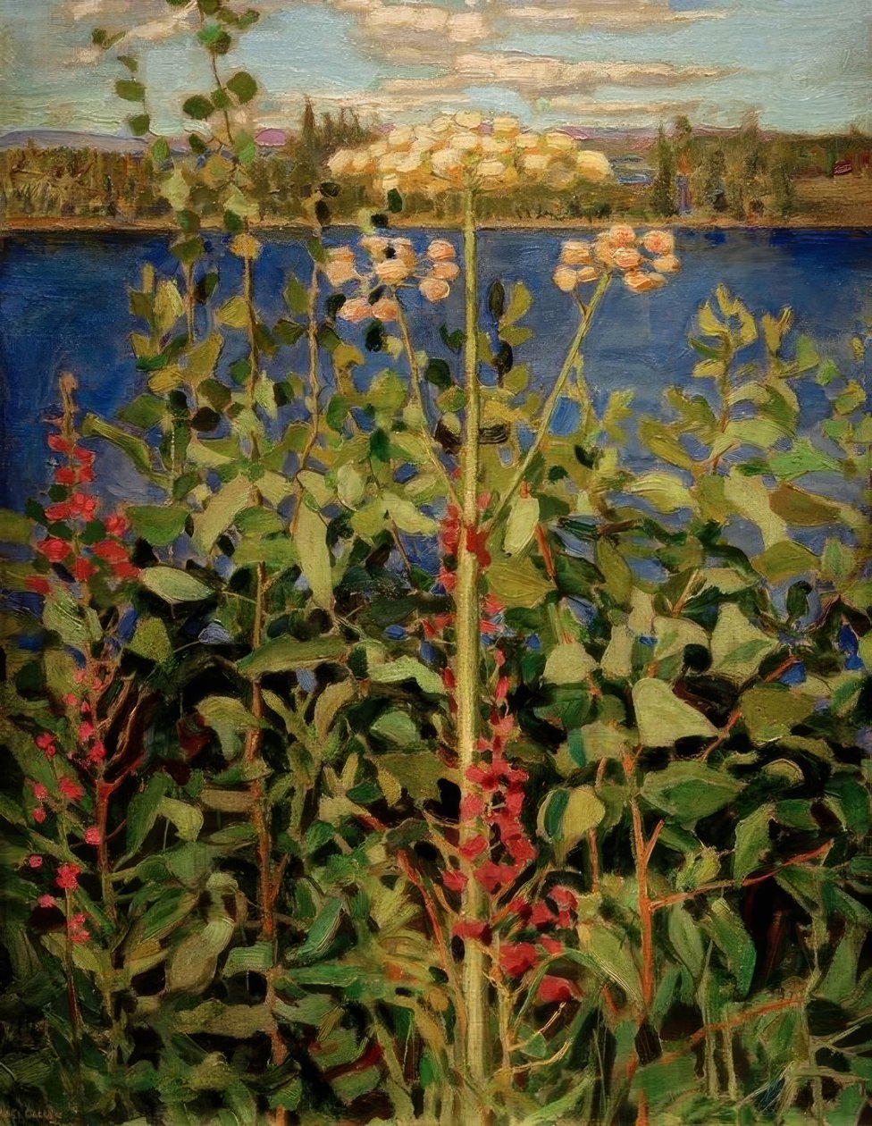 vahşi melekotu by Akseli Valdemar Gallen Kallela
