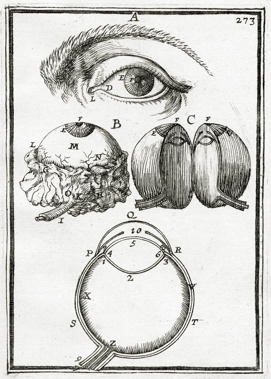 La Geometrie Pratique 1702