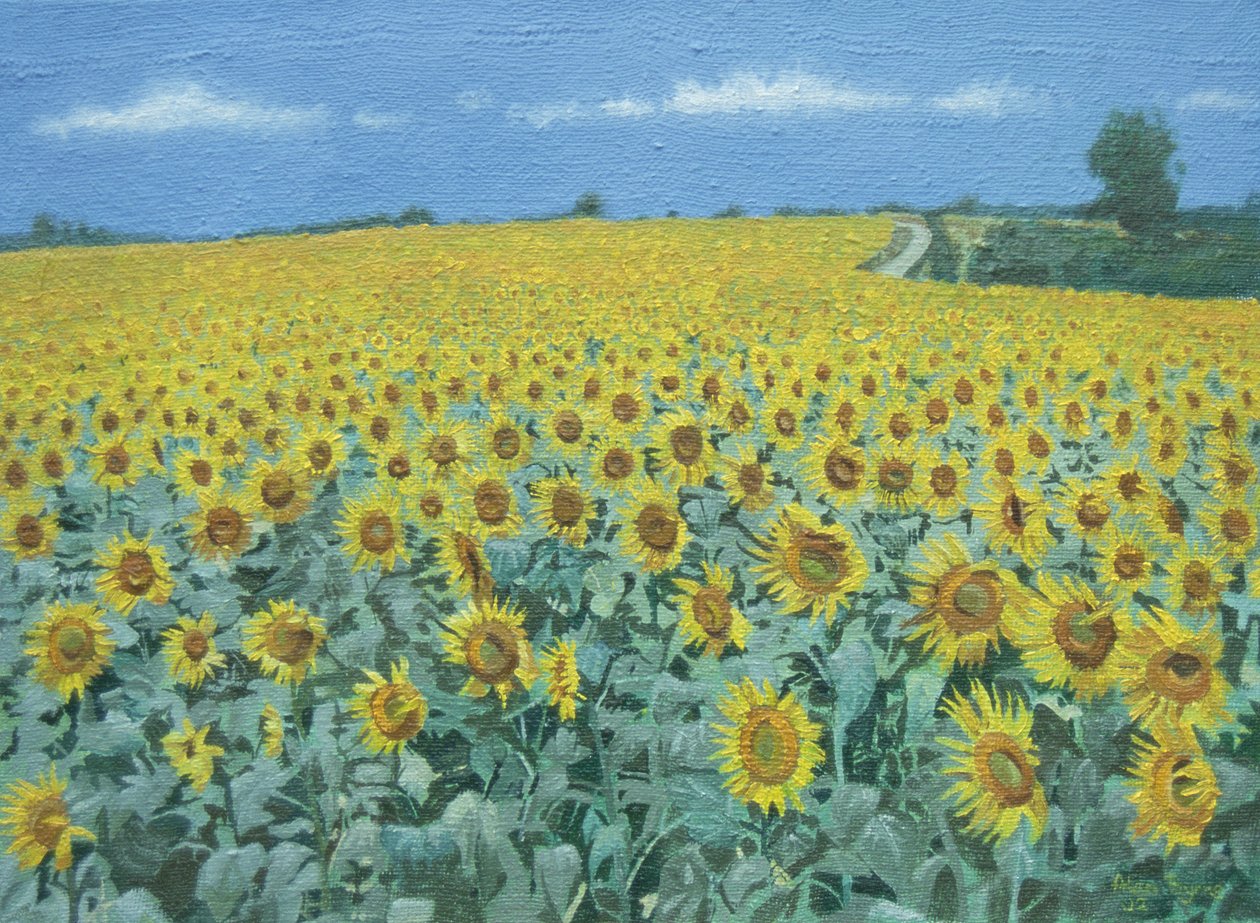 Ayçiçeği Tarlası, 2002 by Alan Byrne