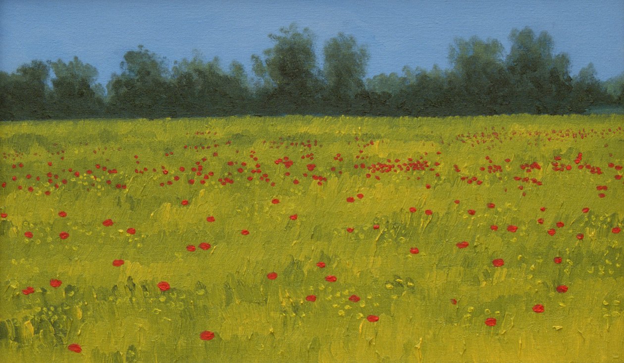 Haşhaşlı Sarı Alan, 2002 by Alan Byrne