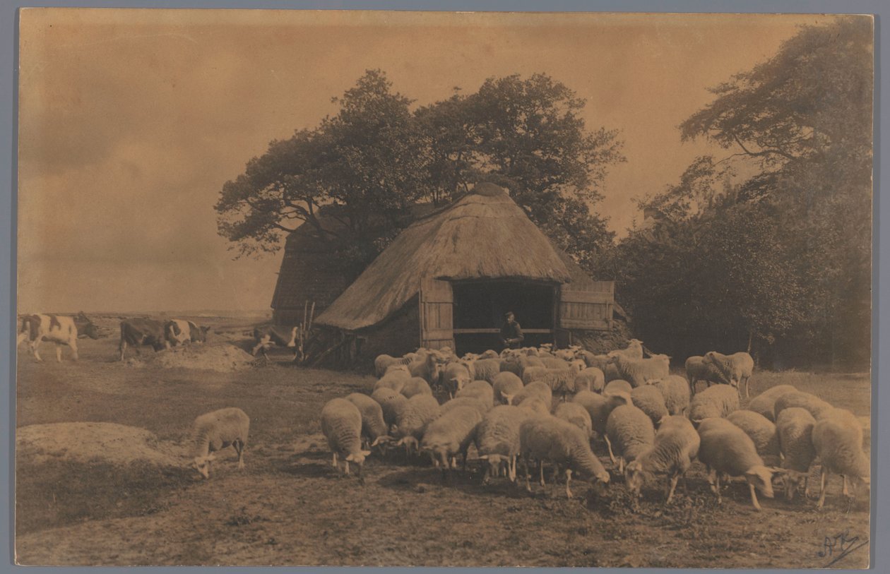 Koyun, inek, çiftçi ve ağıl ile manzara, Hollanda Koyun Ağı Alb. Kapteyn, Lahey (nesne üzerindeki başlık) by Alb. Kapteijn