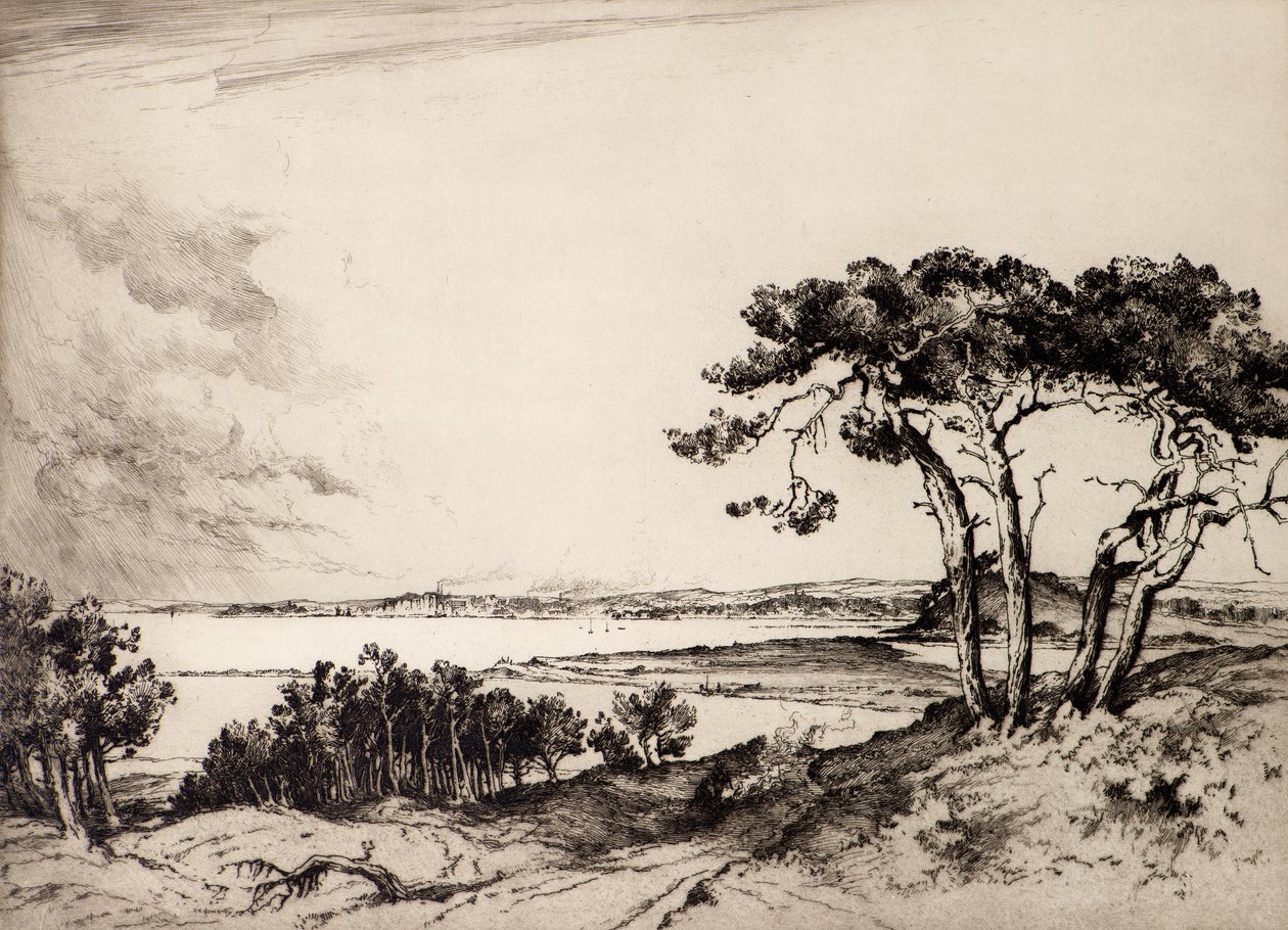 Havuz (aşındırma) by Albany E. Howarth