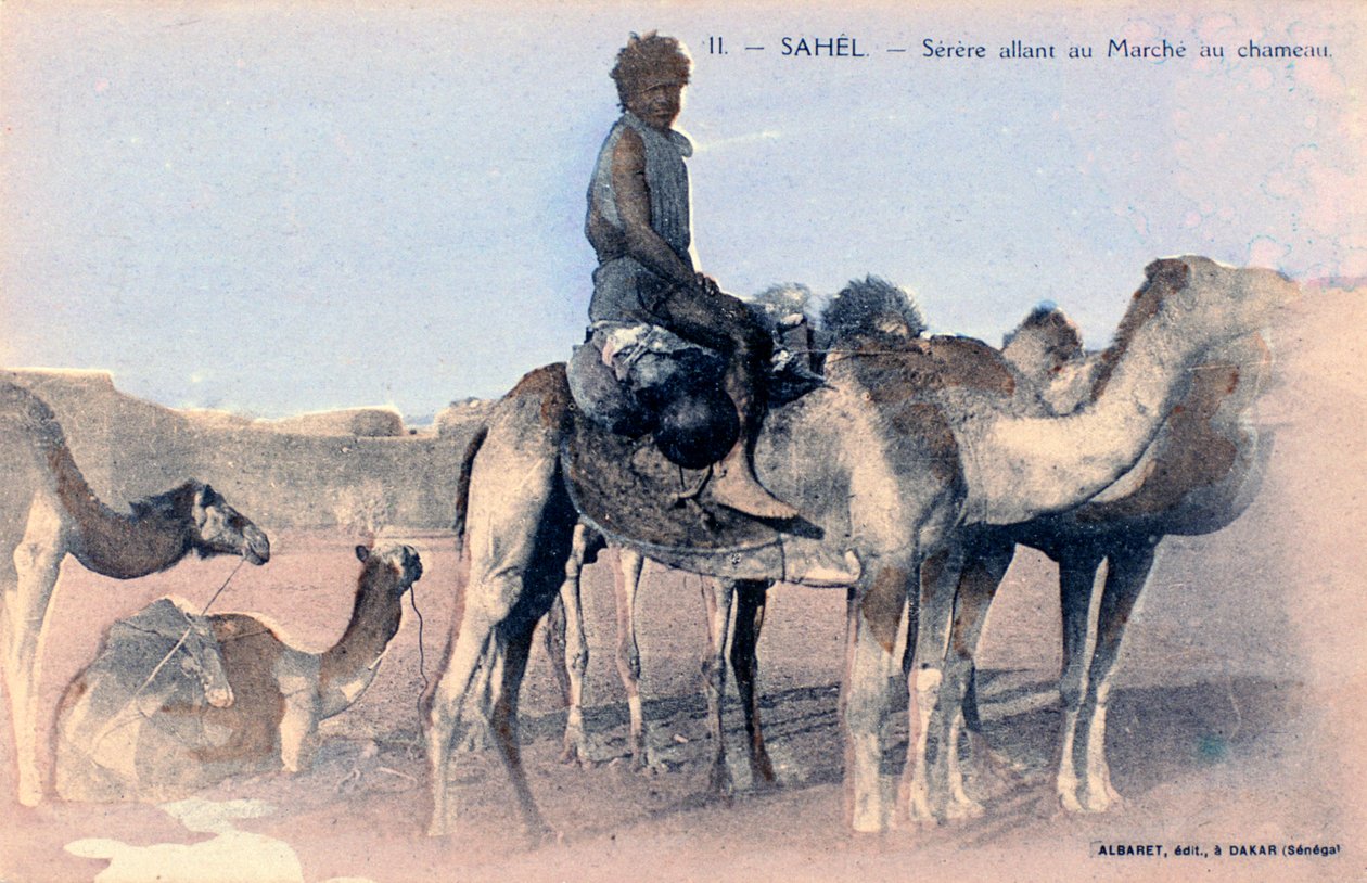 Serere, Sahel, Senegal, 20. yüzyıl by Albaret