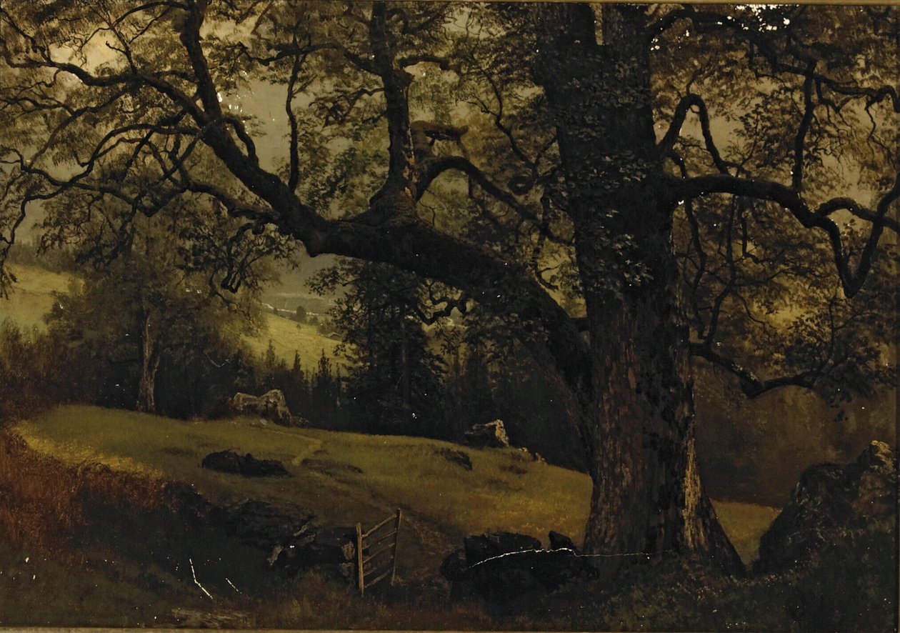 Ağaçların Arasında Bir İz by Albert Bierstadt