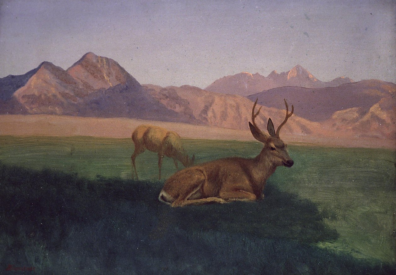 Geyik by Albert Bierstadt
