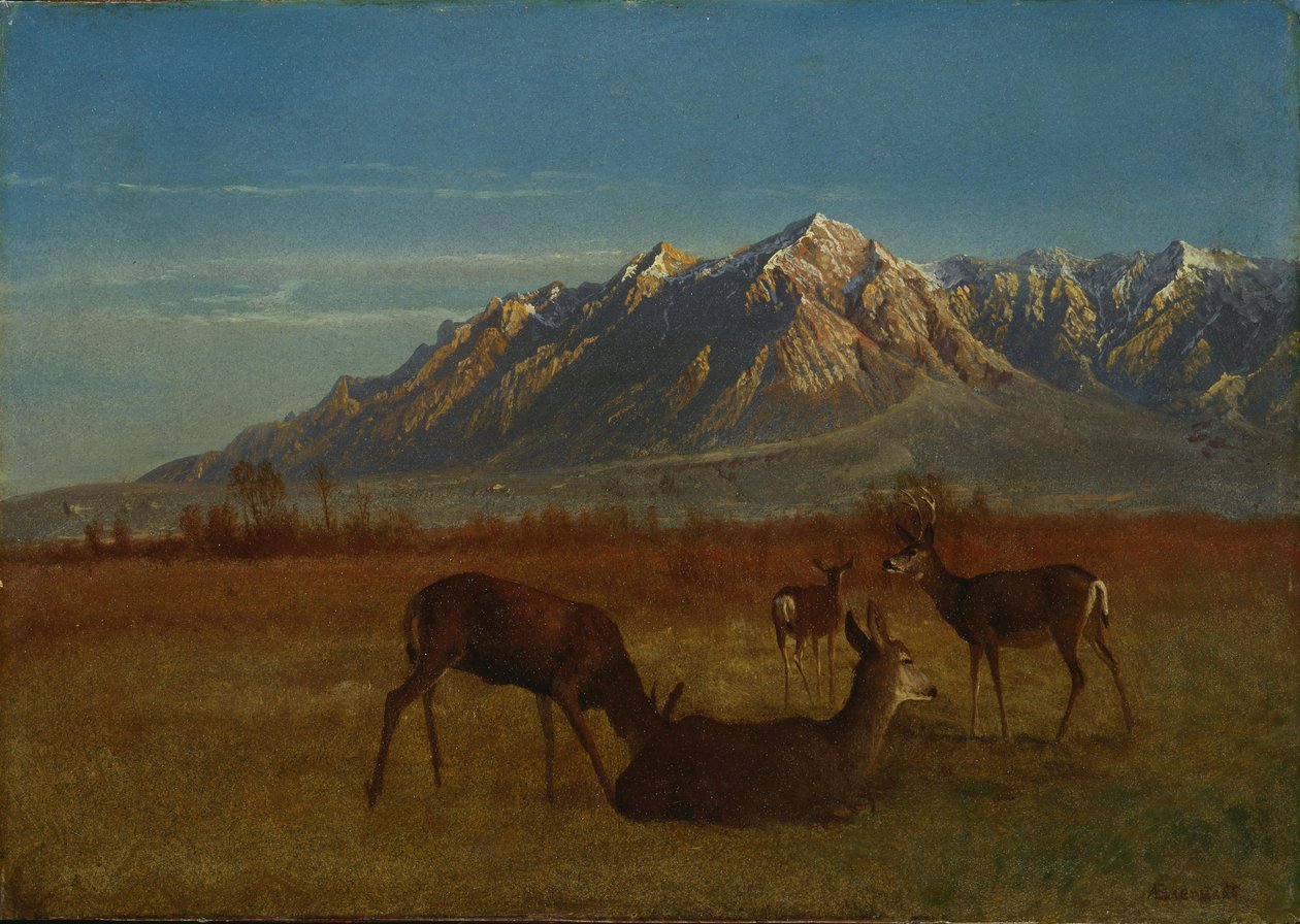 Dağ evinde geyik by Albert Bierstadt