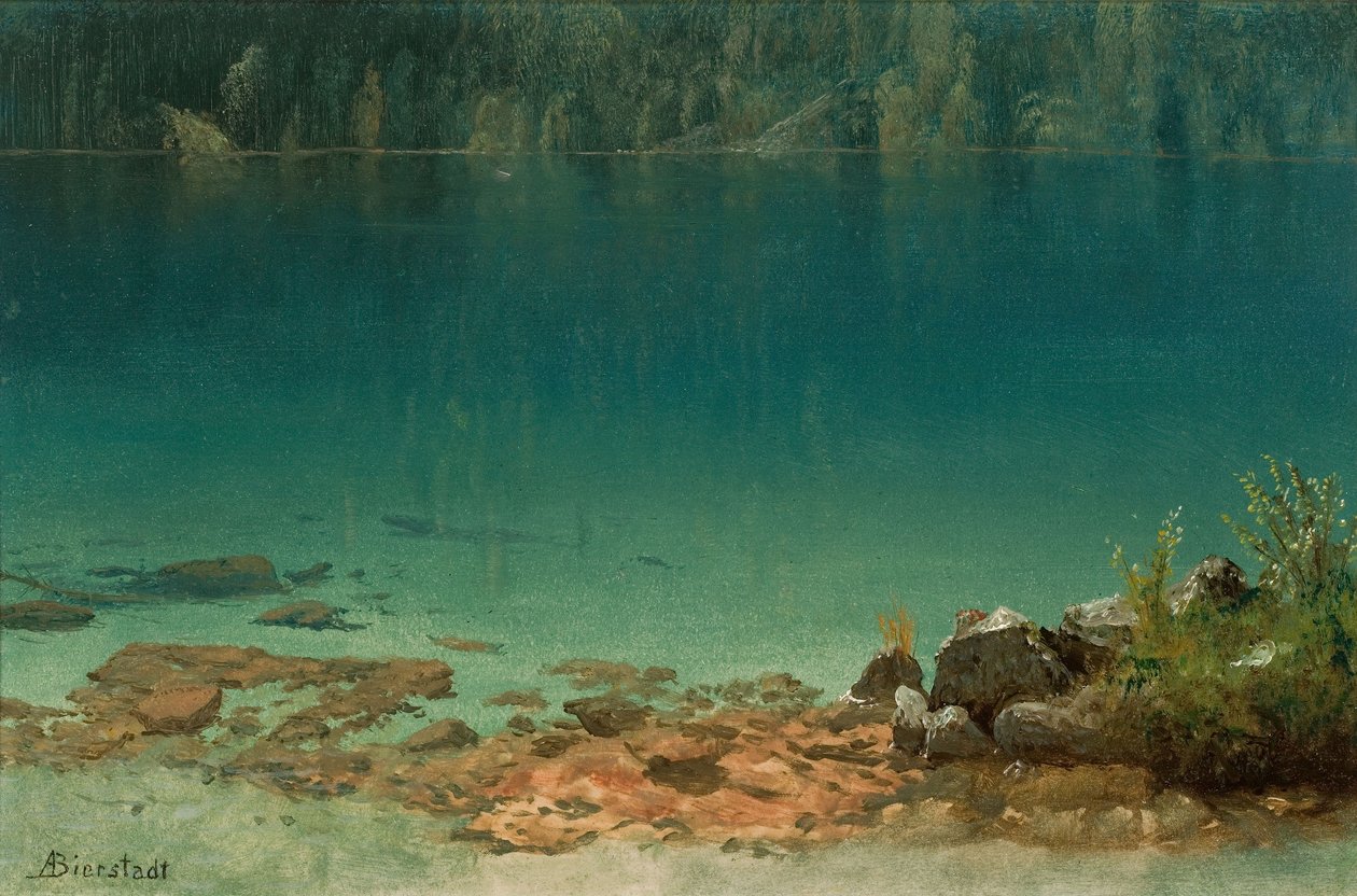 göl sahnesi by Albert Bierstadt