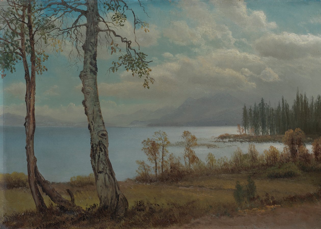 Tahoe Gölü by Albert Bierstadt