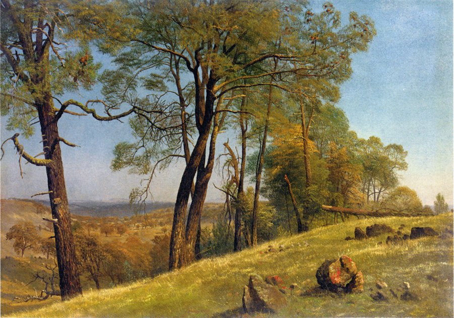 Manzara Rockland County California by Albert Bierstadt
