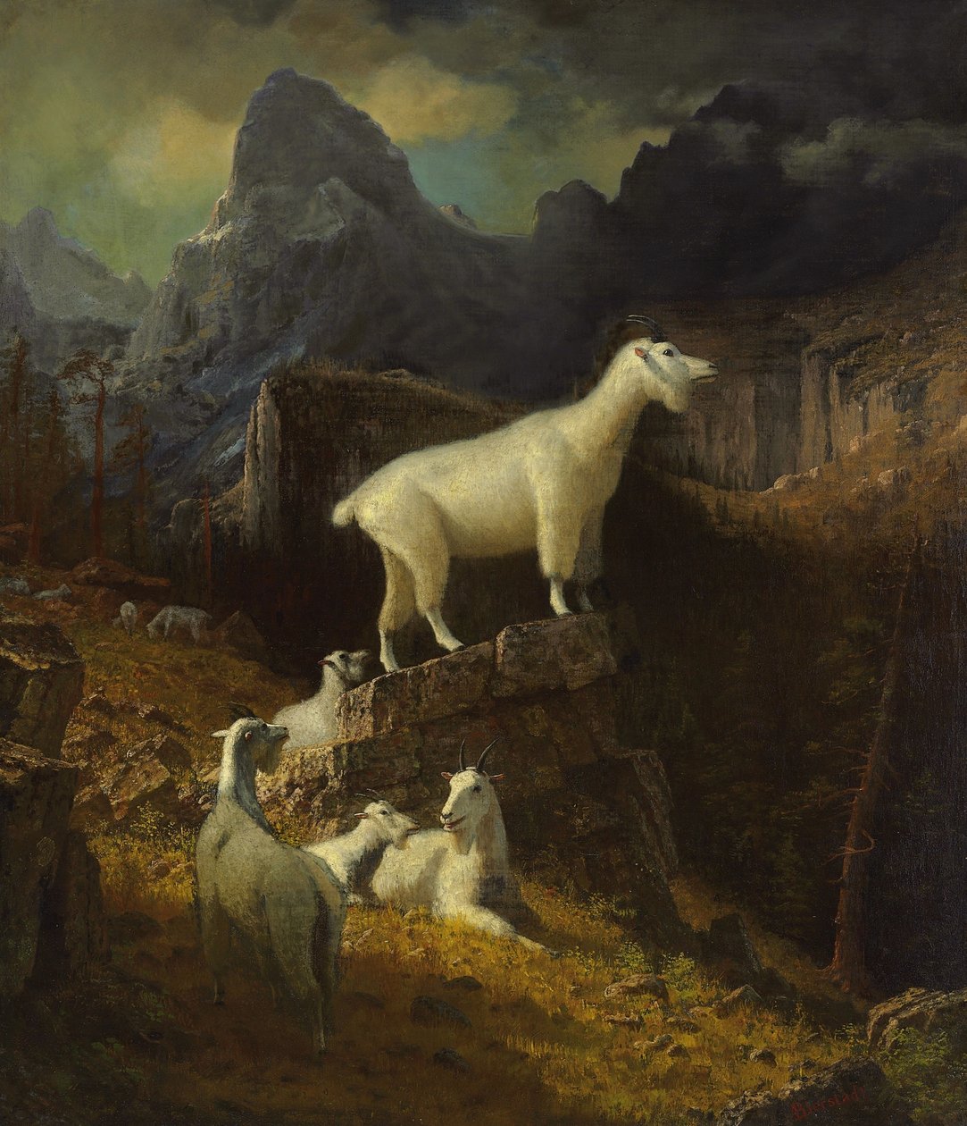 Kayalık Dağ Keçileri by Albert Bierstadt