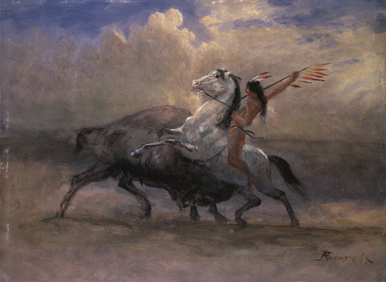 Buffalo