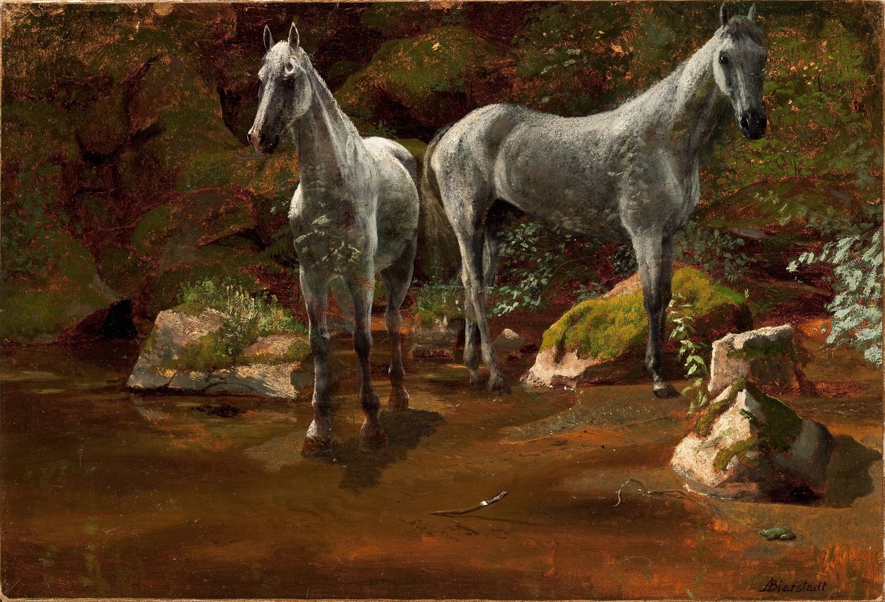 Yabani Atlar Çalışması by Albert Bierstadt
