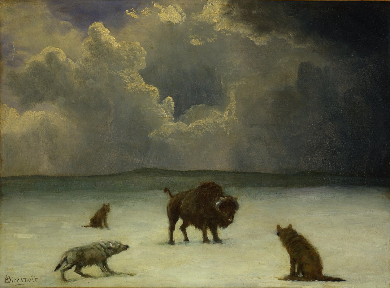 Hapsolmuş by Albert Bierstadt
