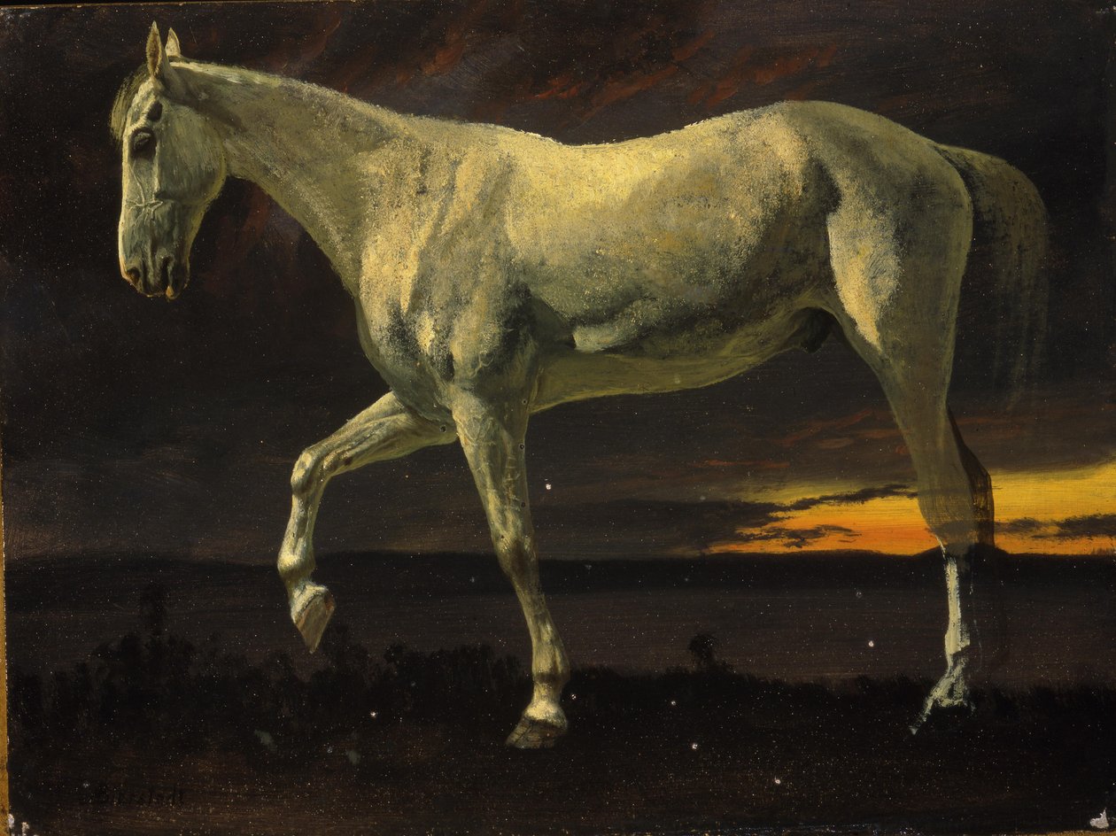 Beyaz At ve Gün Batımı by Albert Bierstadt