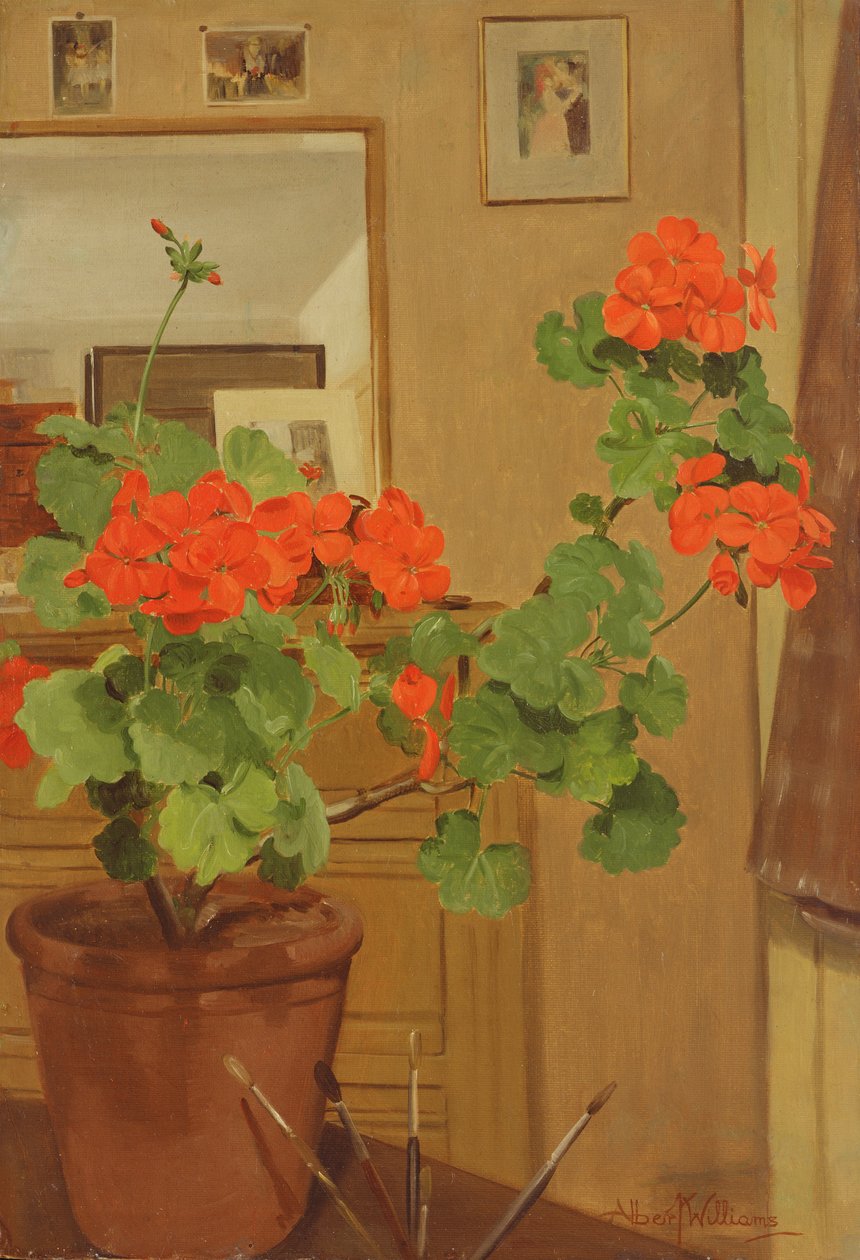 AB319 Sardunyalar Stüdyo Köşesinde, 1948-49 by Albert Williams