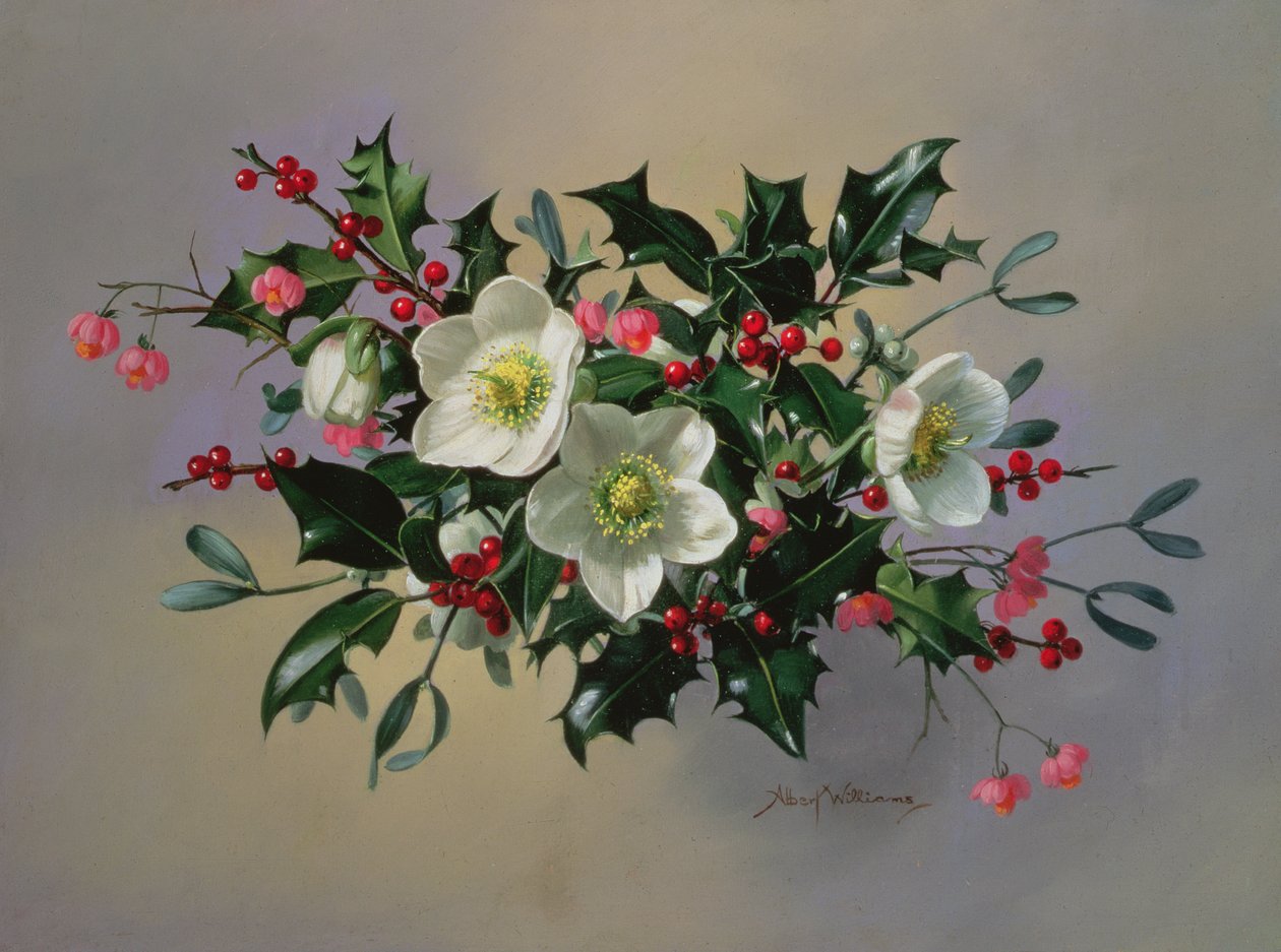 AB89 Noel gülleri by Albert Williams