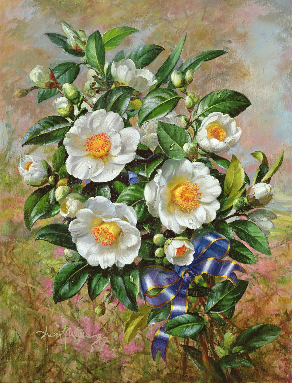 Altın Jübile serisinden Coronation Camelia, 2002 by Albert Williams