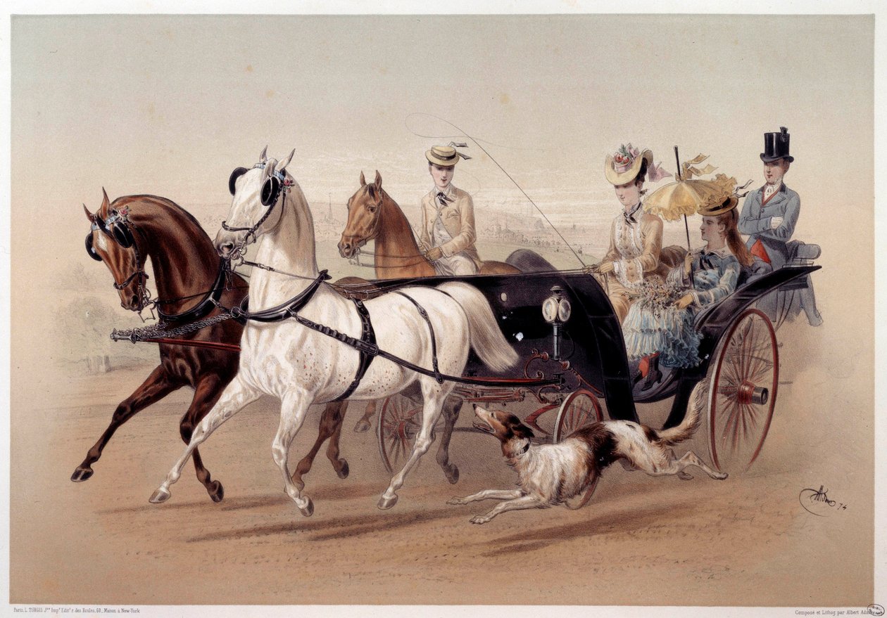 Bir Victoria Arabası ve Tarbes