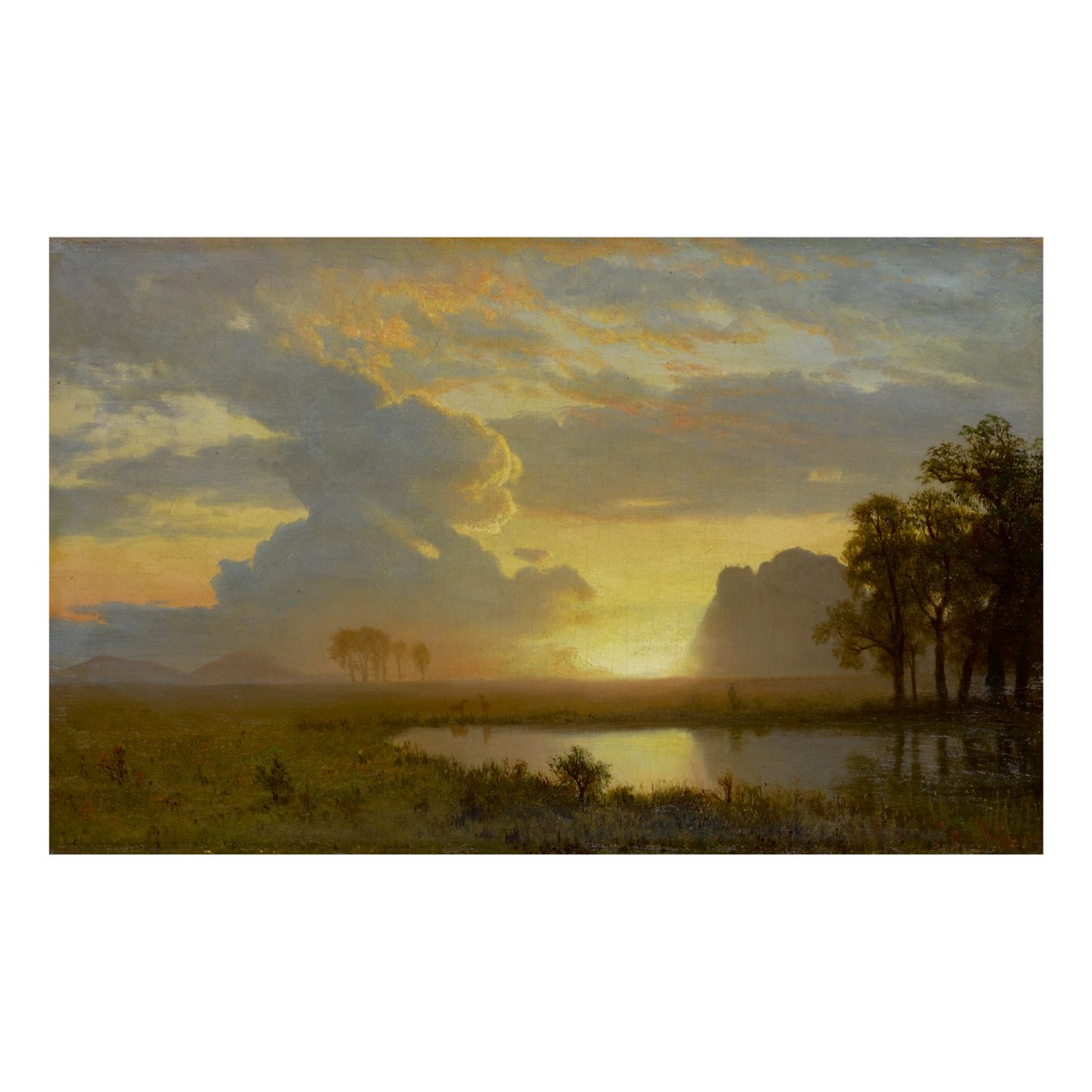 by Albert Bierstadt