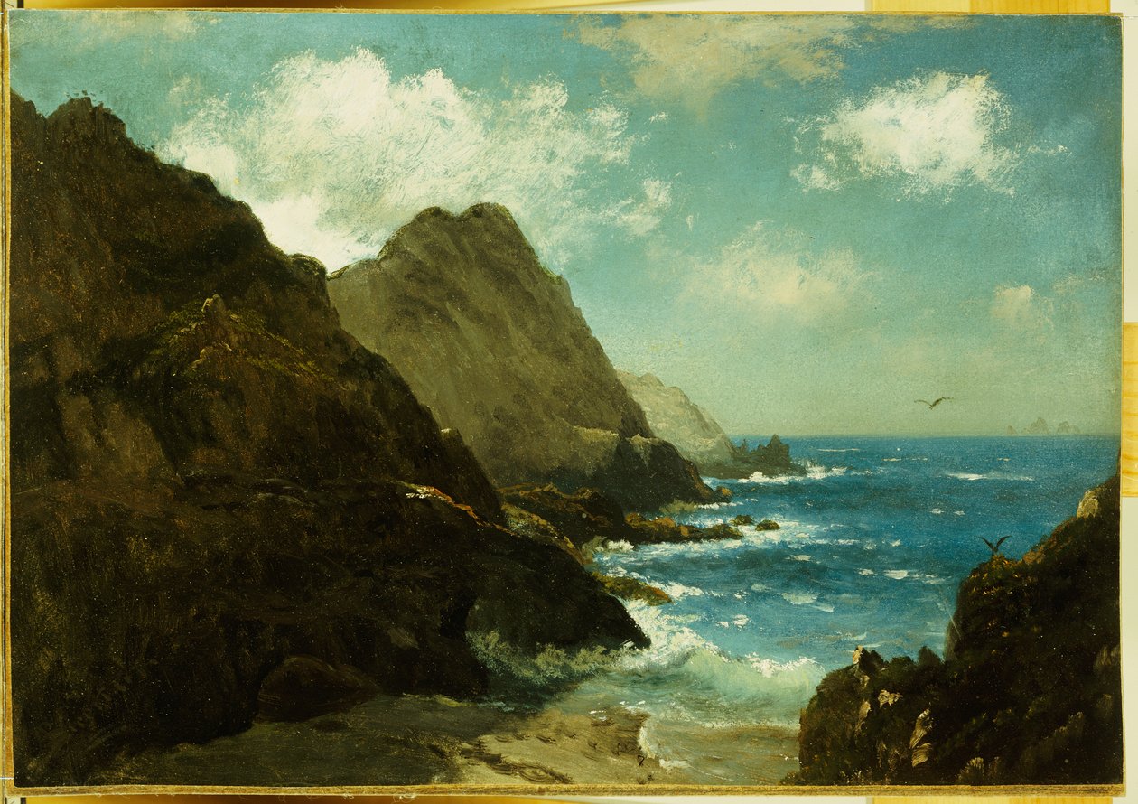 Farallon Adaları by Albert Bierstadt