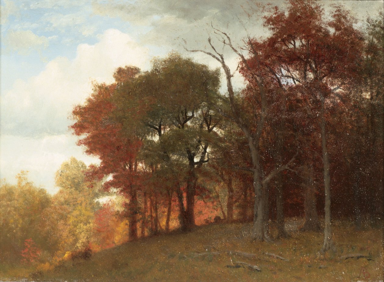 Hudson Nehri üzerinde Hastings, 1865 (keten üzerine yağ) by Albert Bierstadt