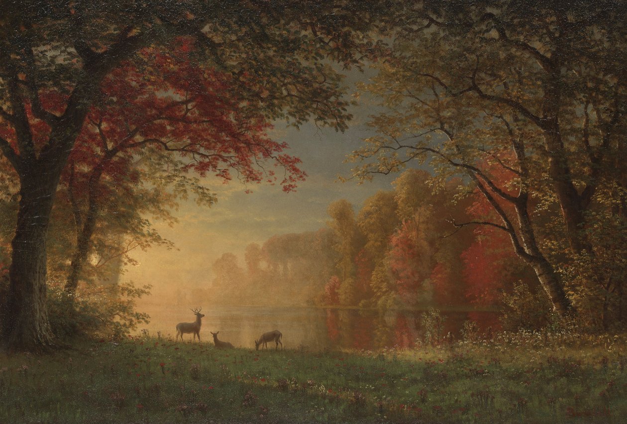 Hint Gün Batımı: Göl Kenarında Geyik, 1880-90 dolayları by Albert Bierstadt