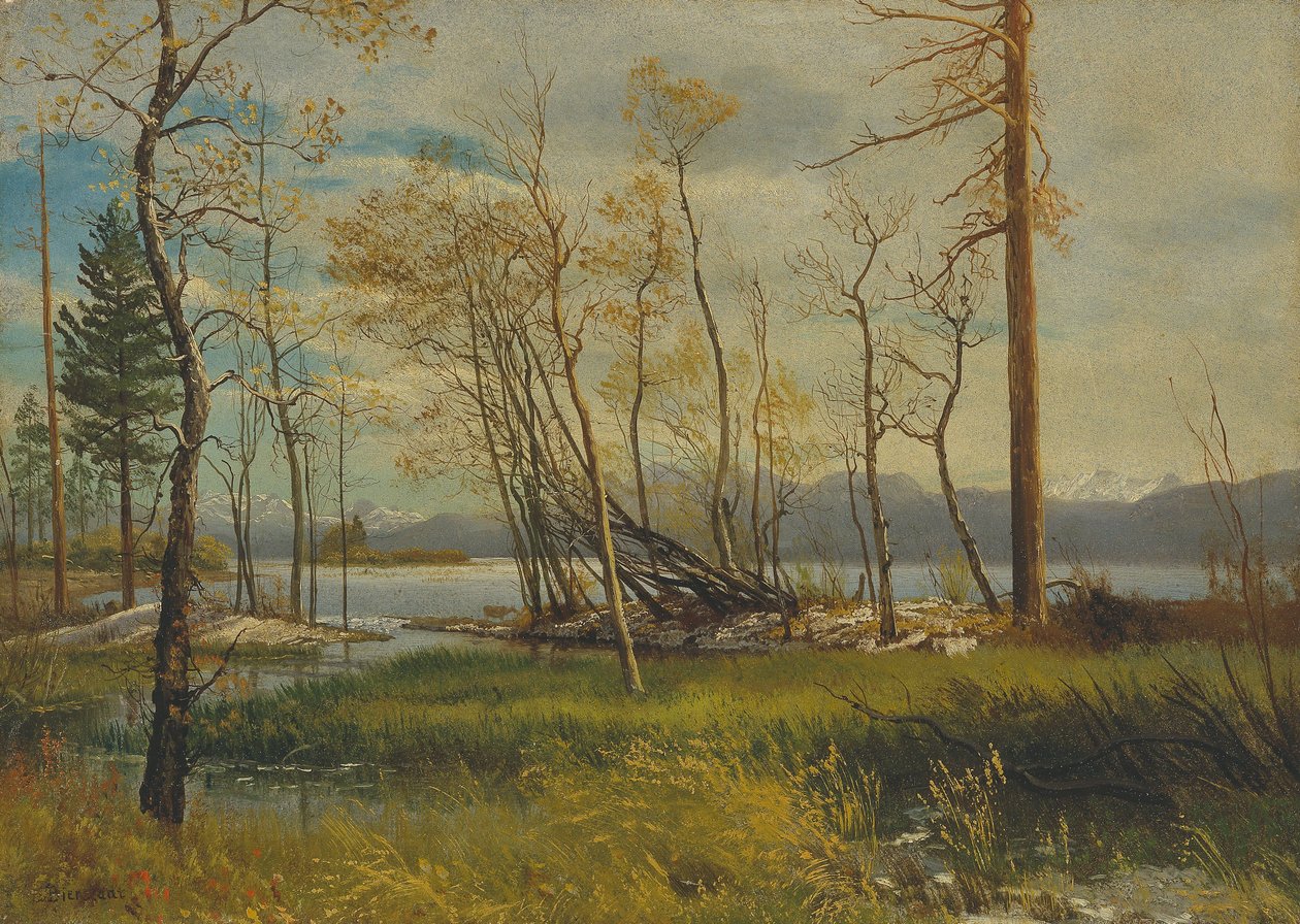  by Albert Bierstadt