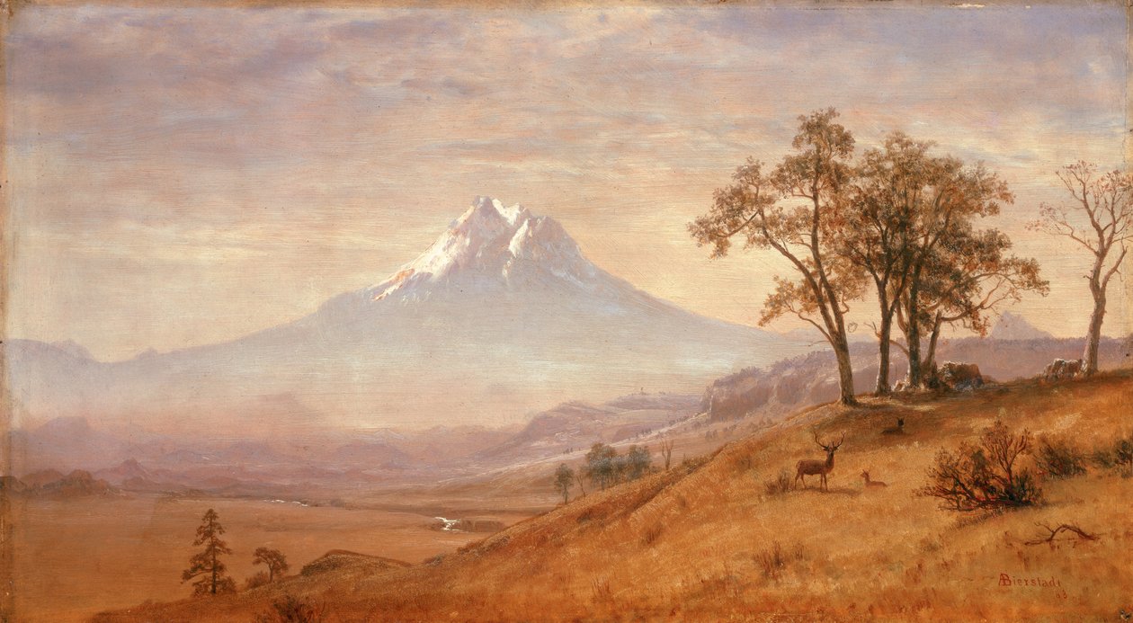 Hood Dağı, 1863 by Albert Bierstadt