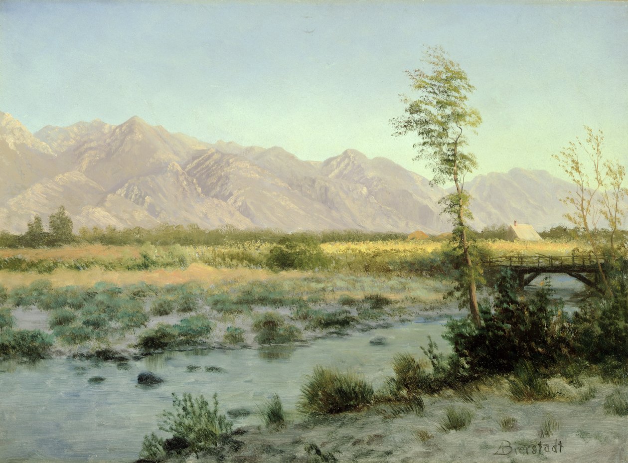 Çayır Manzarası by Albert Bierstadt