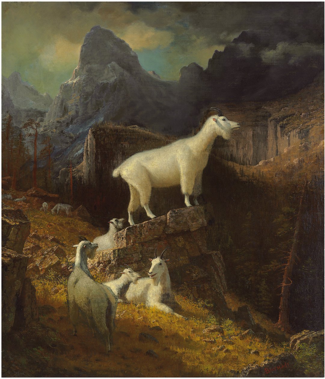 Kayalık Dağ Keçileri, 1885 dolayları (tuval üzerine yağlı boya) by Albert Bierstadt