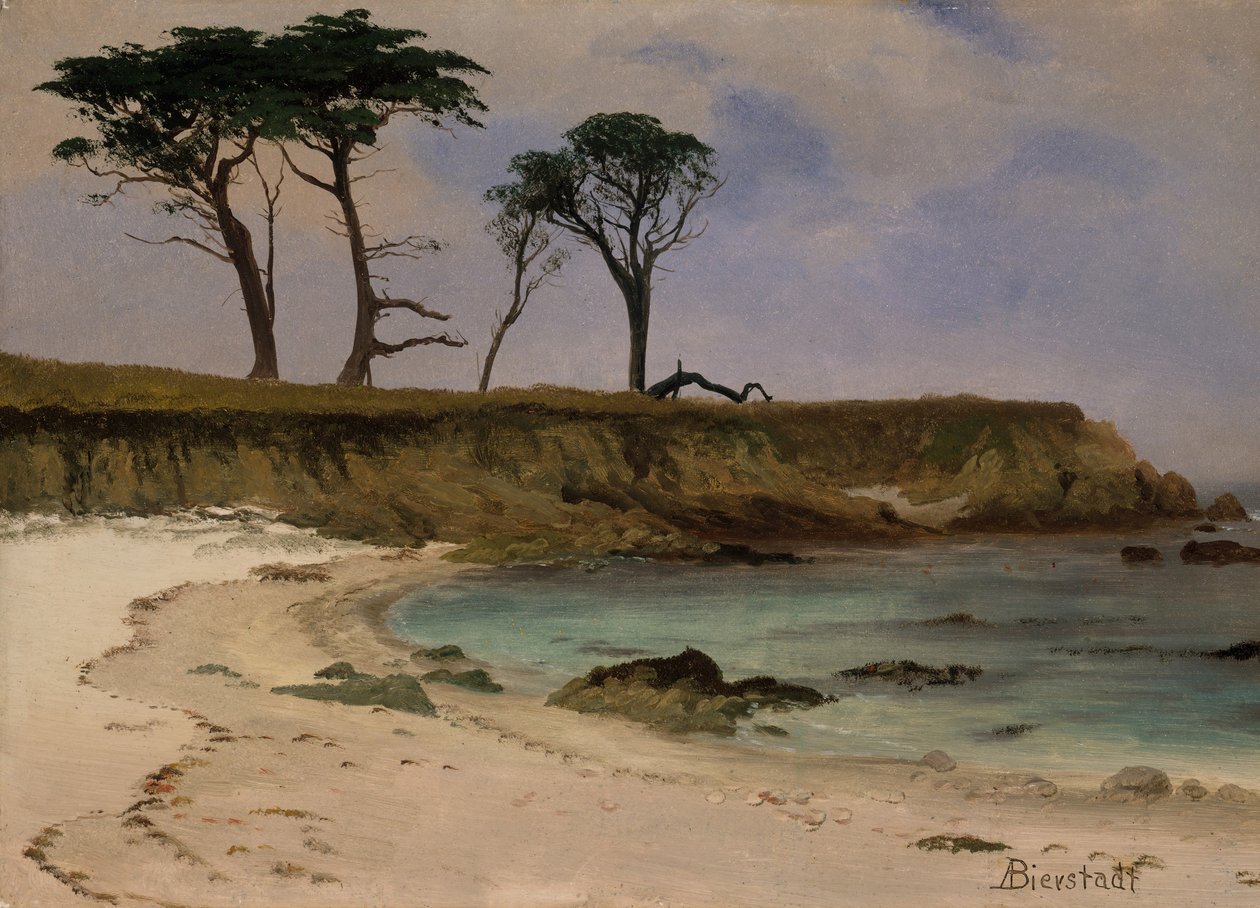 Deniz Koyu, yaklaşık 1880-90. by Albert Bierstadt
