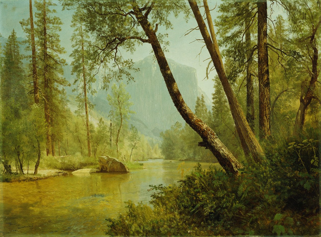 güneşli orman by Albert Bierstadt