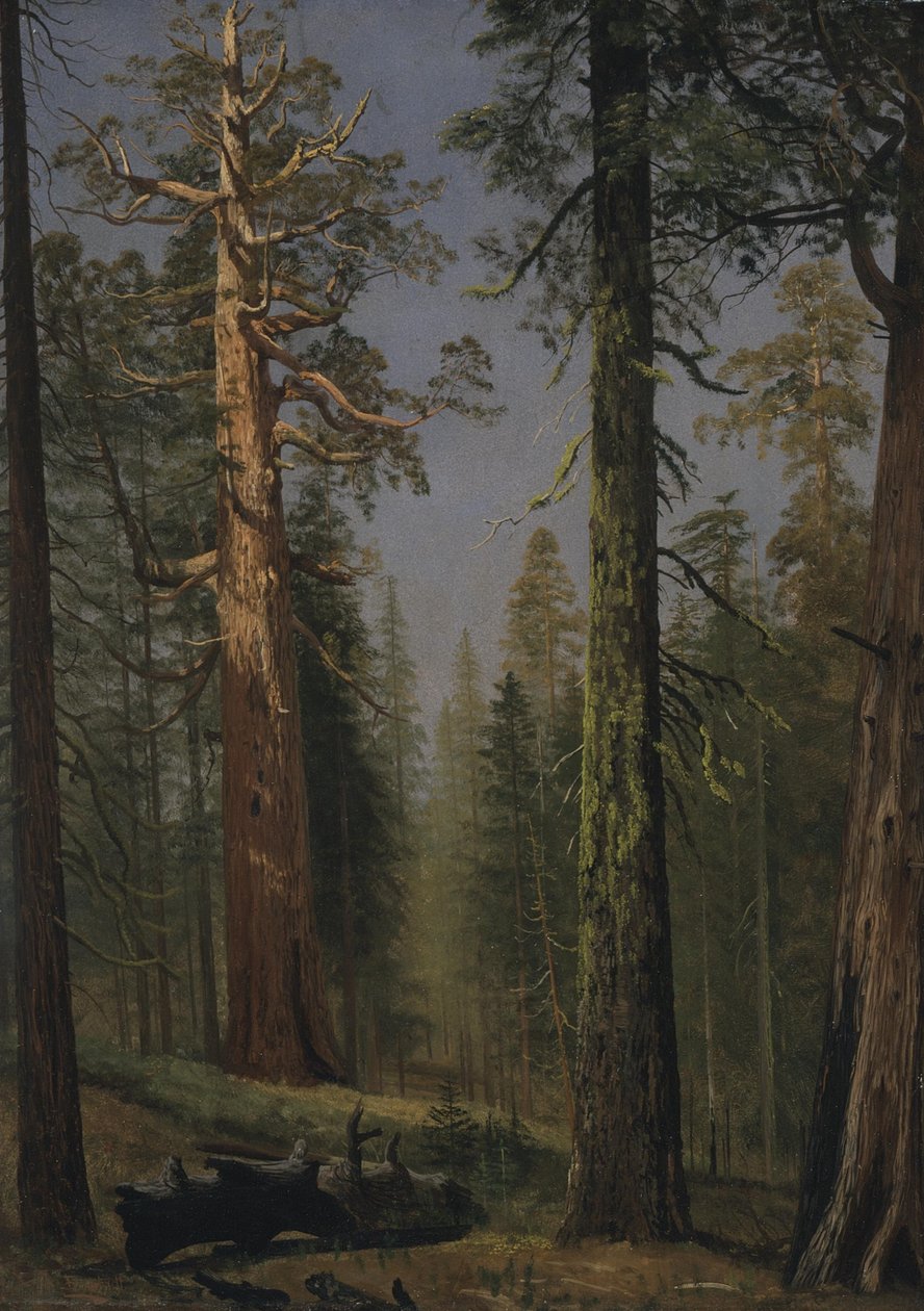  by Albert Bierstadt