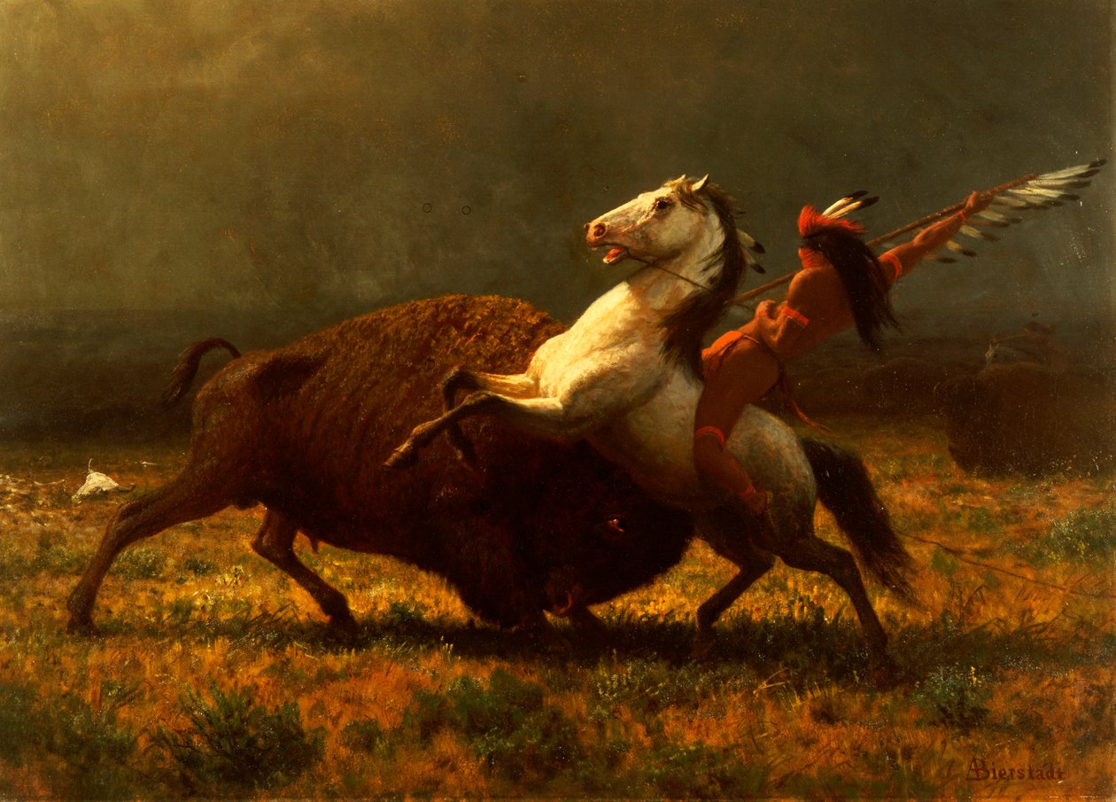 Bufalo